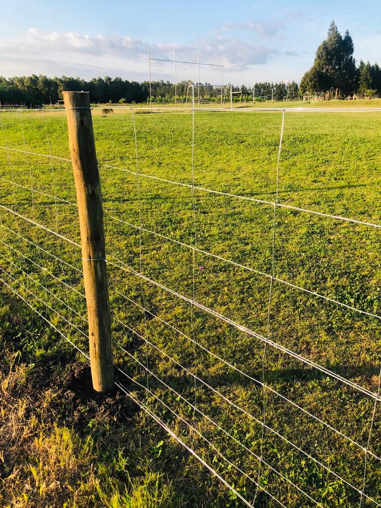 835beca7-6f4f-4430-af8c-1ff1dc1b739c