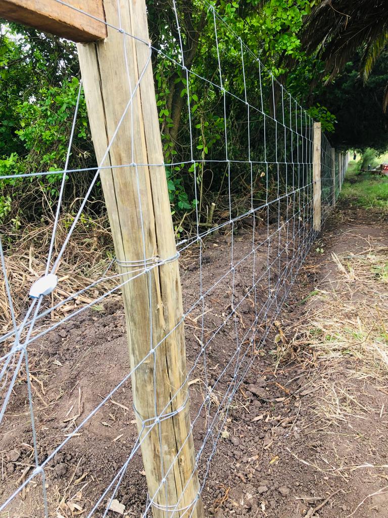 60e943a3-19b4-43b6-8152-0f485747c6ea